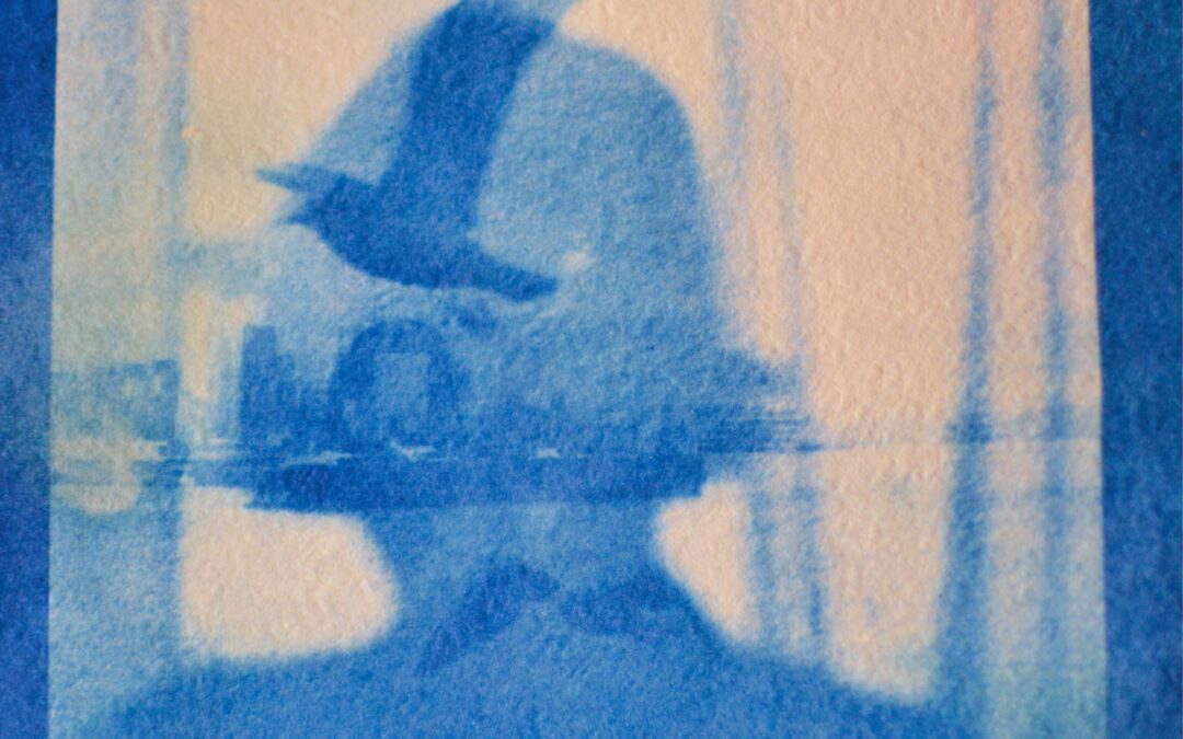 Blaukraut bleibt Blaukraut…